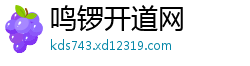 鸣锣开道网